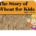Story of Wheat