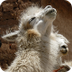 National Geographic: Peru