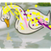 EL PATITO LINDO (pictogramas)