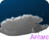 Antarctic Animals — kidcyber