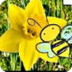 Pollination for Kids | Flower 