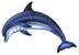 Bottlenose Dolphin Swimming Po