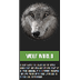 PBS Food Web Wolf