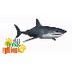 SHARKS: Animals for children. 