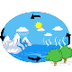 Test Your Water Cycle Knowledg