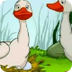 El pato