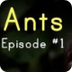 Amazing Ant Facts! Fun Science