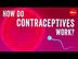 How do contraceptives work? - 