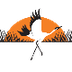 Crane Migration