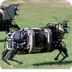 AlphaDog, U.S. Marines Robot P