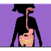 Digestive System Video (BP)