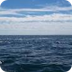 Bodies of Water