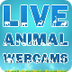 Animal Web Cams - Symbaloo