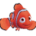 Fun Fish Facts for Kids - Inte