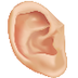 El oído