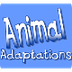 Animal Adaptations