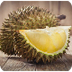Durio zibethinus - Wikipedia,
