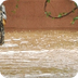 Historic Colorado Floods