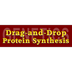 Drag-and-Drop Protein Synthesi