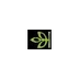 Ancestry International