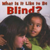 What Is It Like to Blind