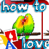 How To Draw Lovebirds - YouTub