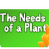 The Needs of a Plant (song for