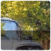 nsuclub
