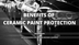 Ceramic Paint Protection | Its