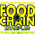 Food Chain Song | KidKam
