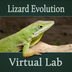 Lizard Evolution Virtual Lab o