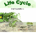 Life Cycle Of Frogs