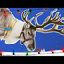 Reindeer for Kids | Caribou |