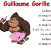 Guillaume Gorille 
