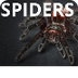 Spiders - All about spiders fo