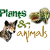 Plants & Animals