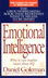 Emotional Intelligence - Danie
