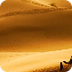NatGeo Desert Habitat