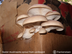 Mushroom #6