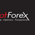 Top Forex Brokers|Best Forex B
