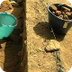 Picchetto Archeologo: lo scavo