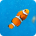 Facts: The Clownfish - YouTube