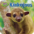 Kinkajous