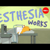 How does anesthesia work? - St