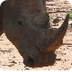 South Africa