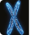 cromosomoas