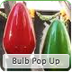 Bulb Popup