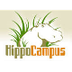 www.hippocampus.org