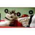 That's Not Cool Video Resource