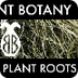 Amazing Plant Roots